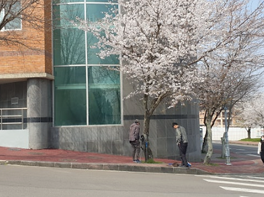 제주대학교 기숙사 누수